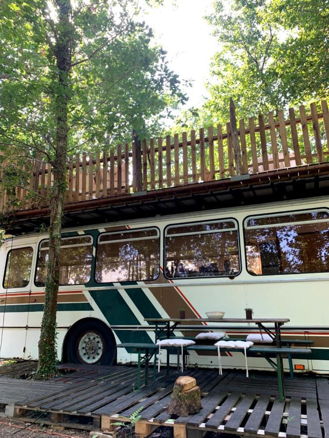 Magic Roof Top Bus With Big Bath In The Tree Forest! Mimizan Luaran gambar