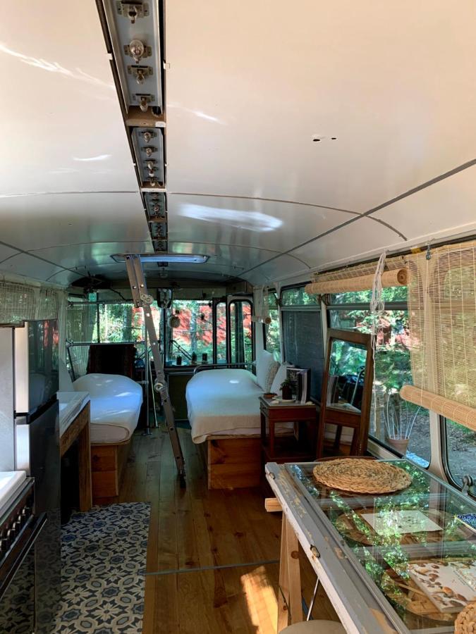 Magic Roof Top Bus With Big Bath In The Tree Forest! Mimizan Luaran gambar