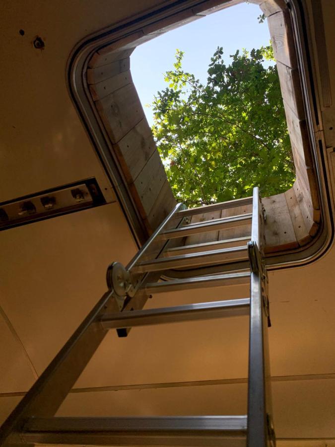 Magic Roof Top Bus With Big Bath In The Tree Forest! Mimizan Luaran gambar