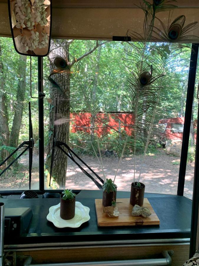 Magic Roof Top Bus With Big Bath In The Tree Forest! Mimizan Luaran gambar